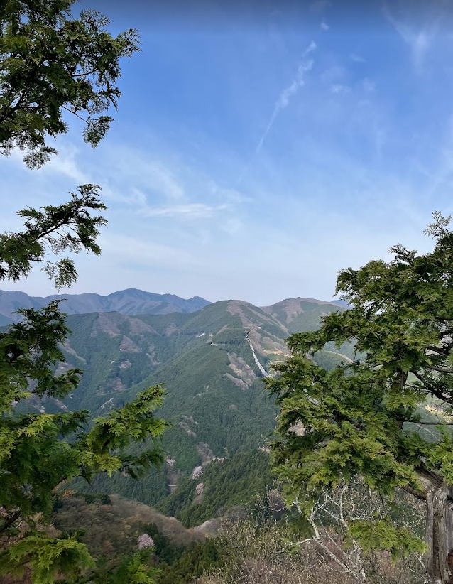 男坂からの景色