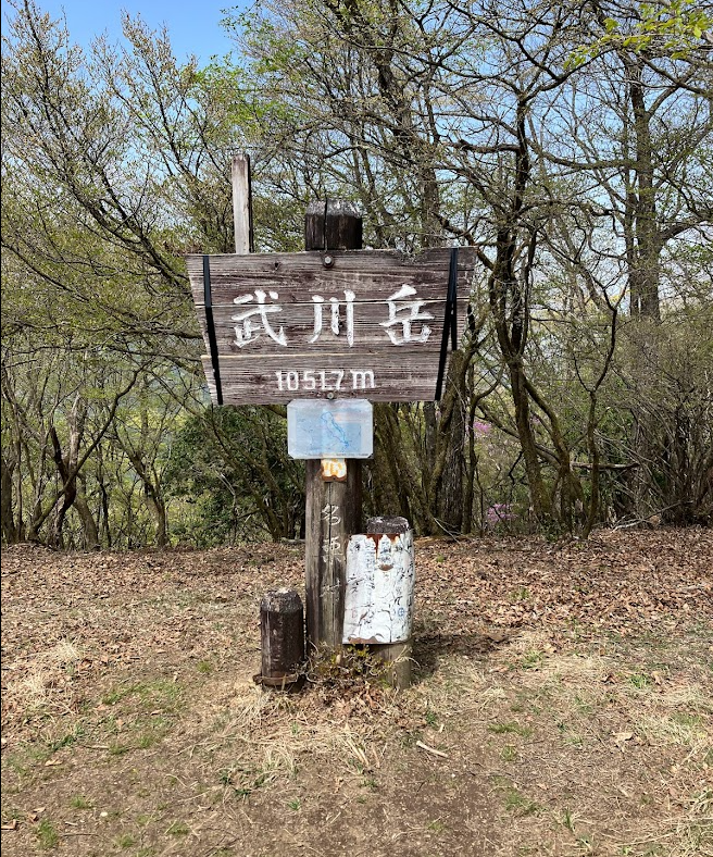 武川岳山頂